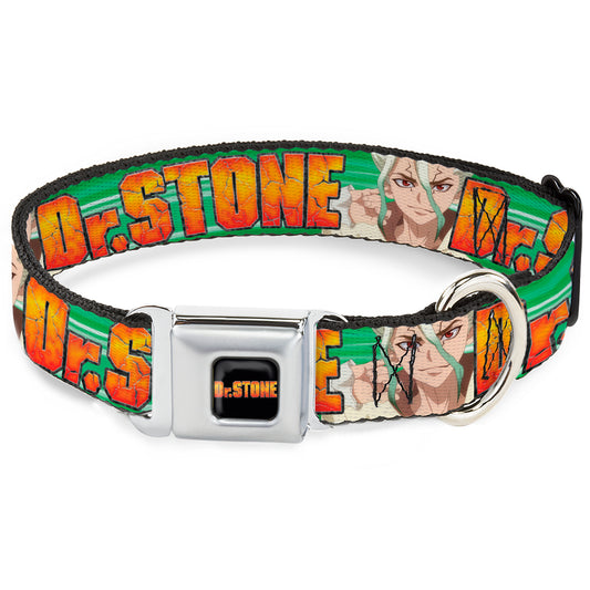 DR. STONE Title Logo Full Color Black/Orange Seatbelt Buckle Collar - DR. STONE Title Logo and Suika Face Close-Up Greens