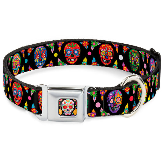 Sugar Skull Starburst Full Color Black/Multi Color Seatbelt Buckle Collar - Colorful Calaveras Black/Multi Color